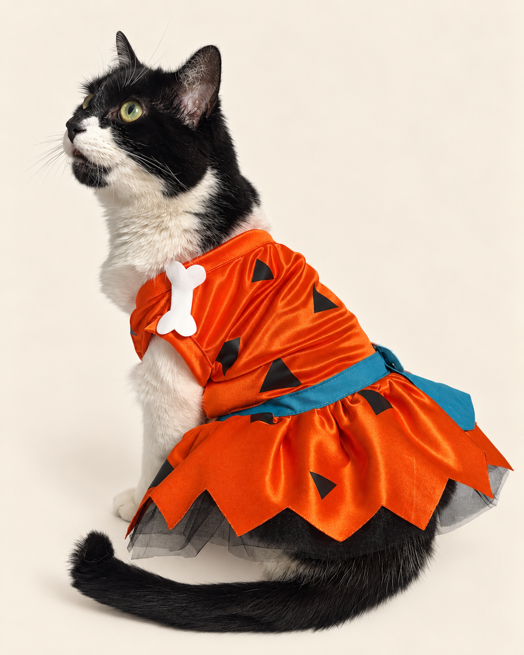 Picapiedra Vestido