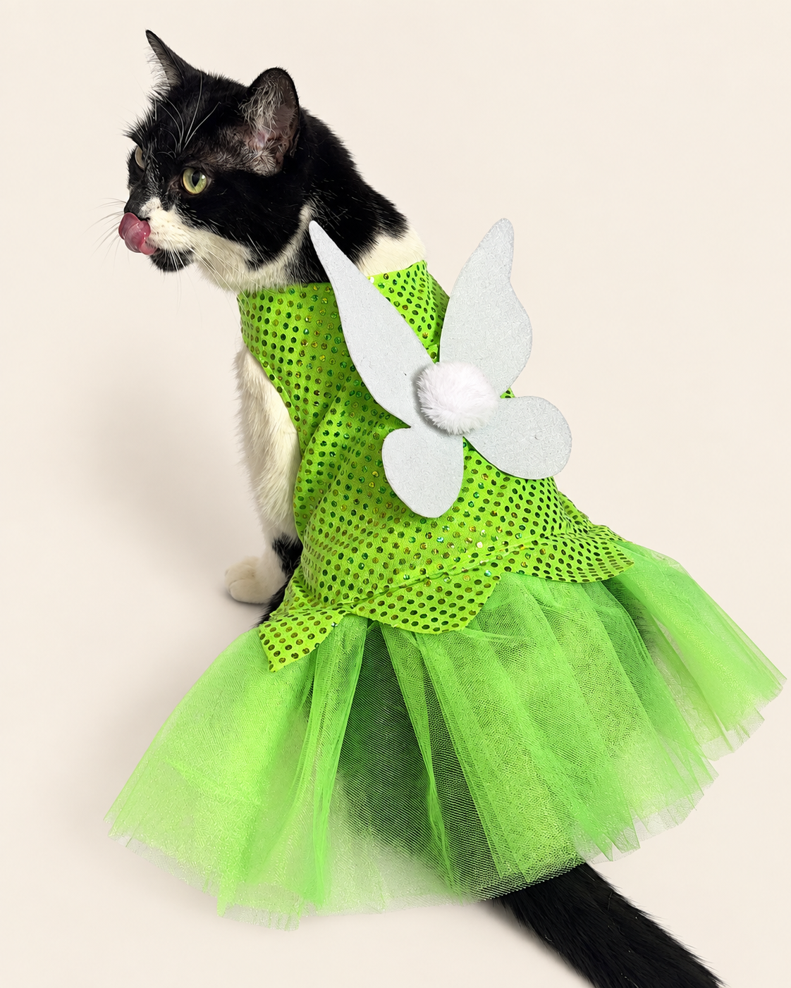 Tinker Bell