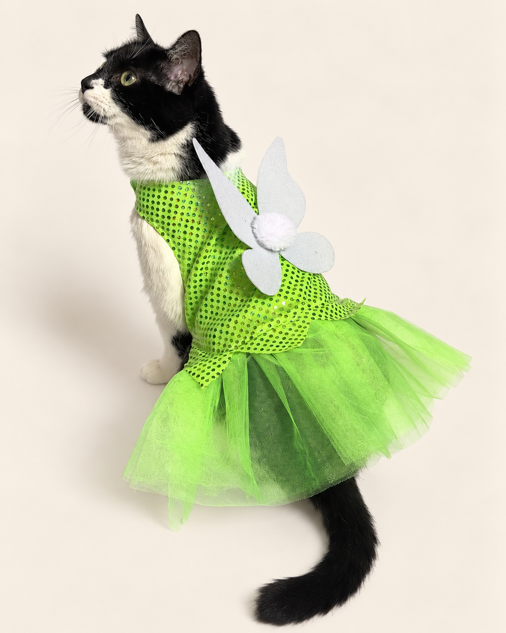 Tinker Bell