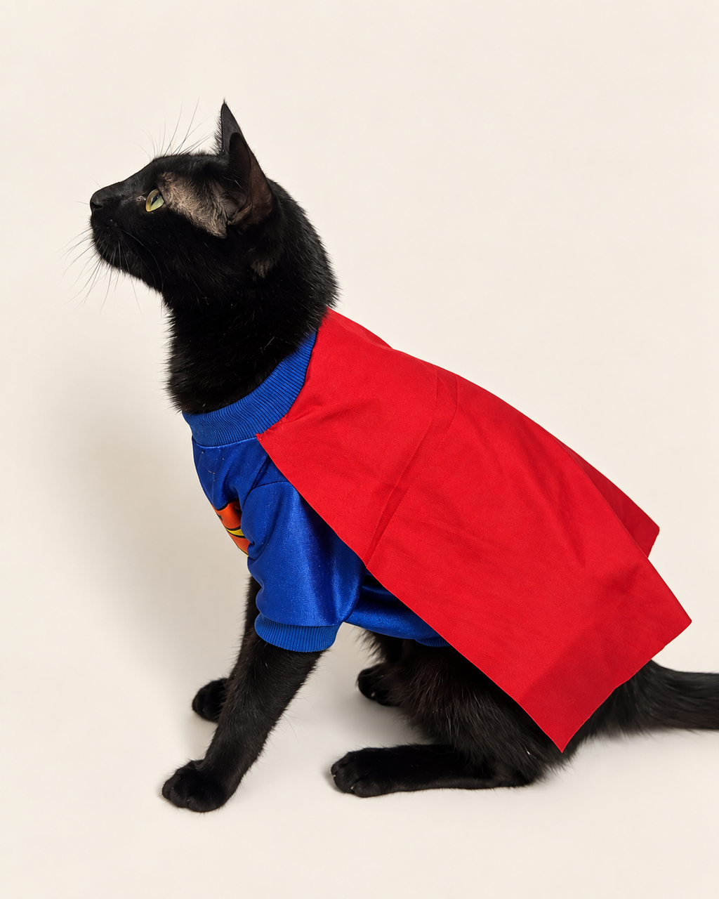 Super-Man