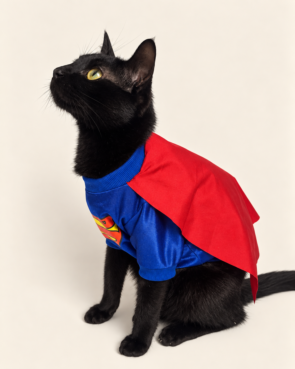 Super-Man