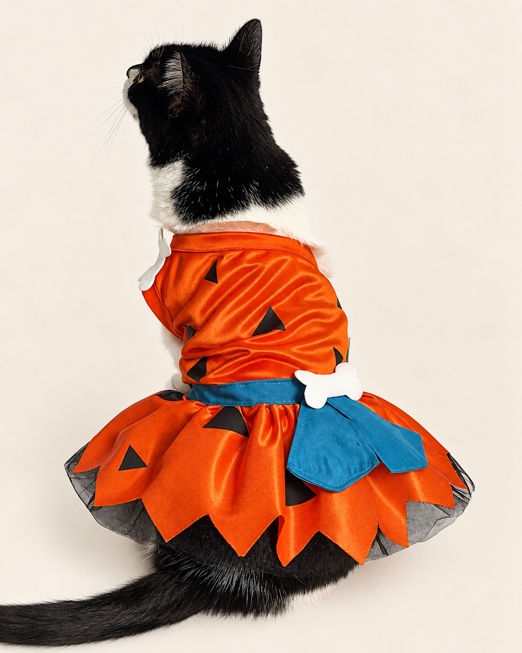 Picapiedra Vestido