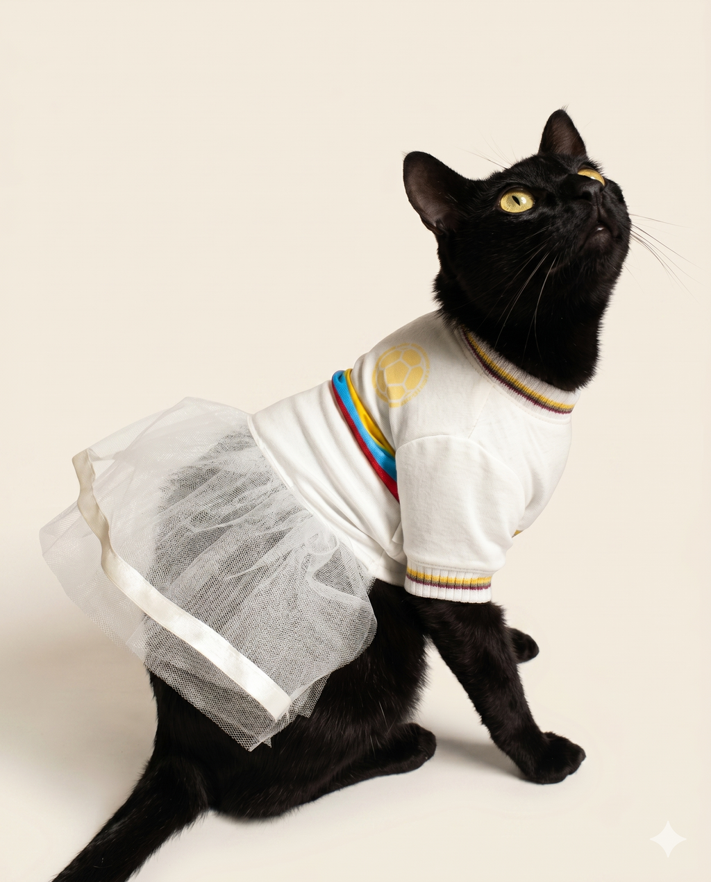 Vestido centenario