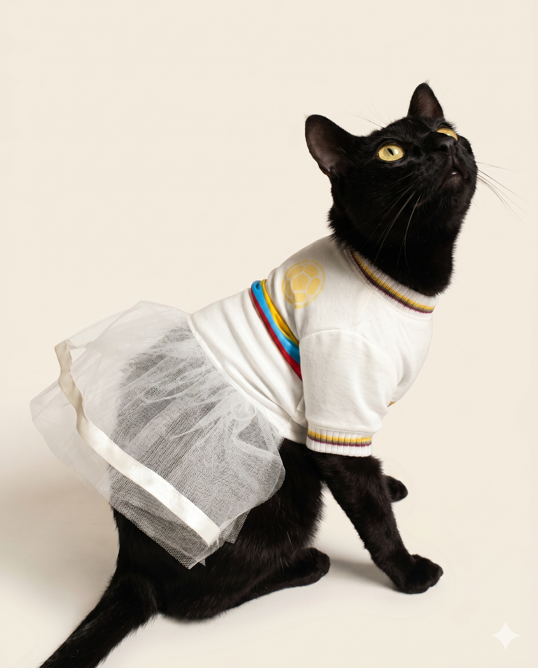 Vestido centenario