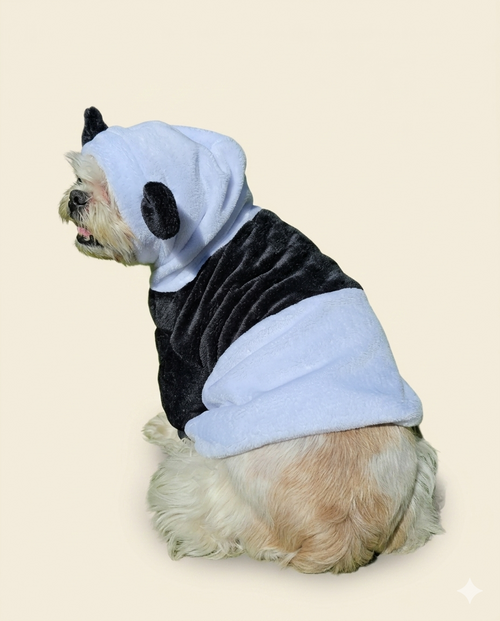 Buzo Panda