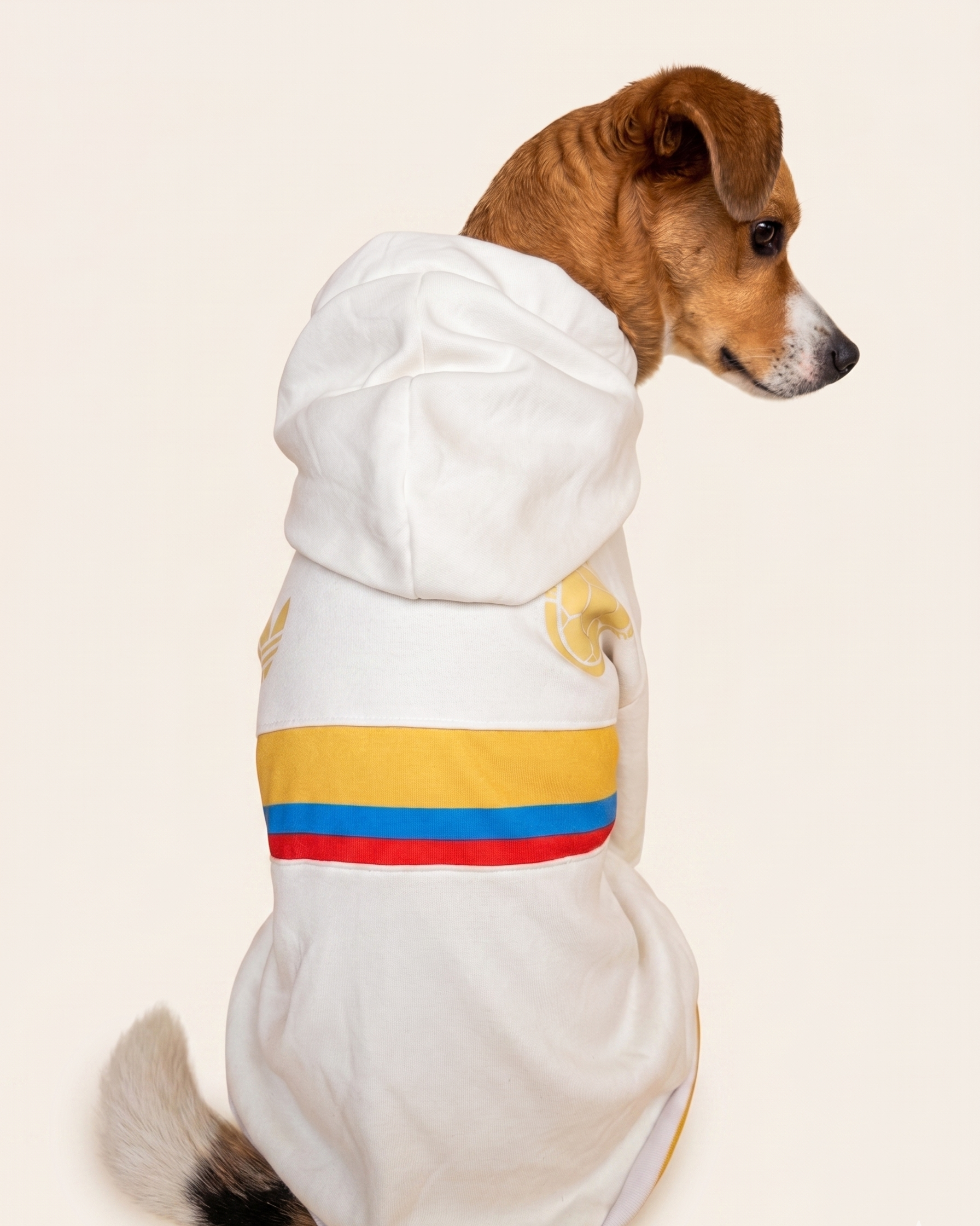 Buzo selección Colombia