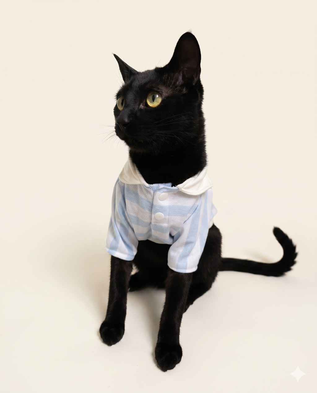 Camisa Moky