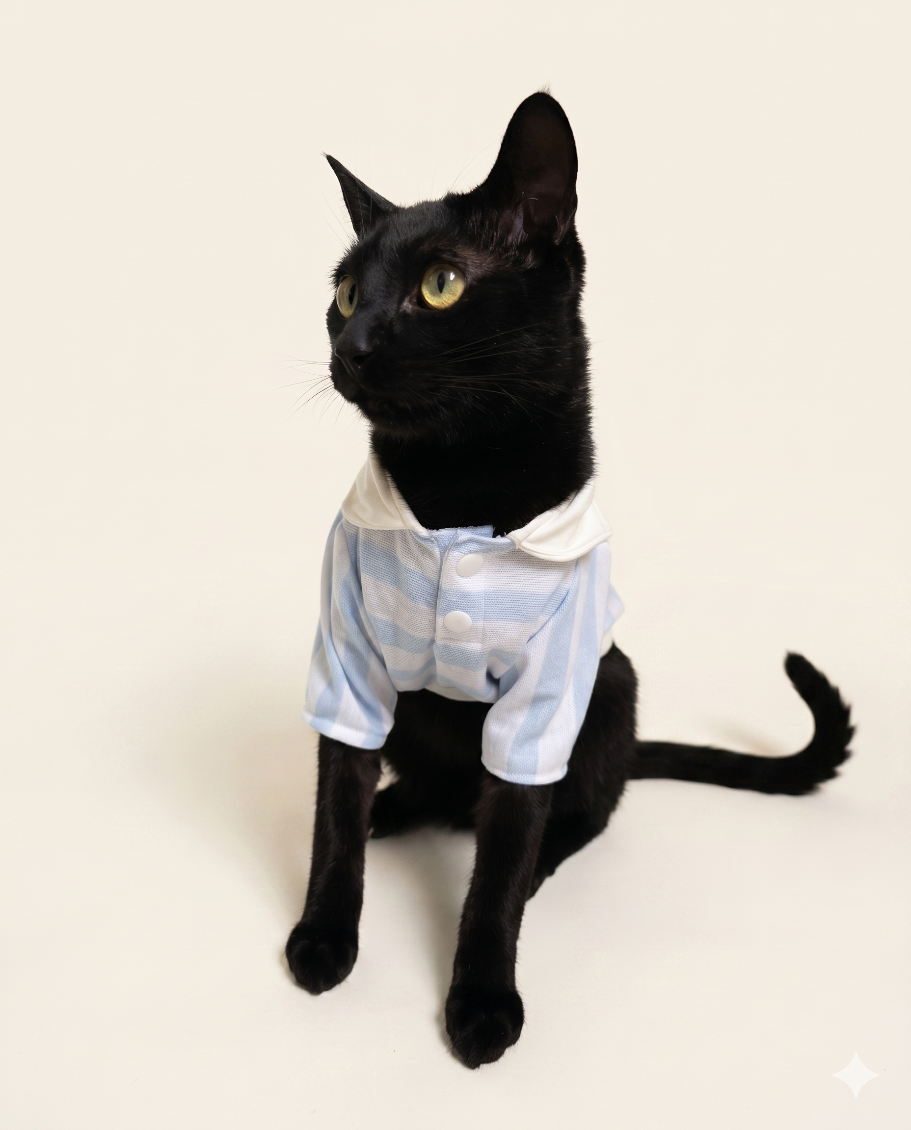 Camisa Moky