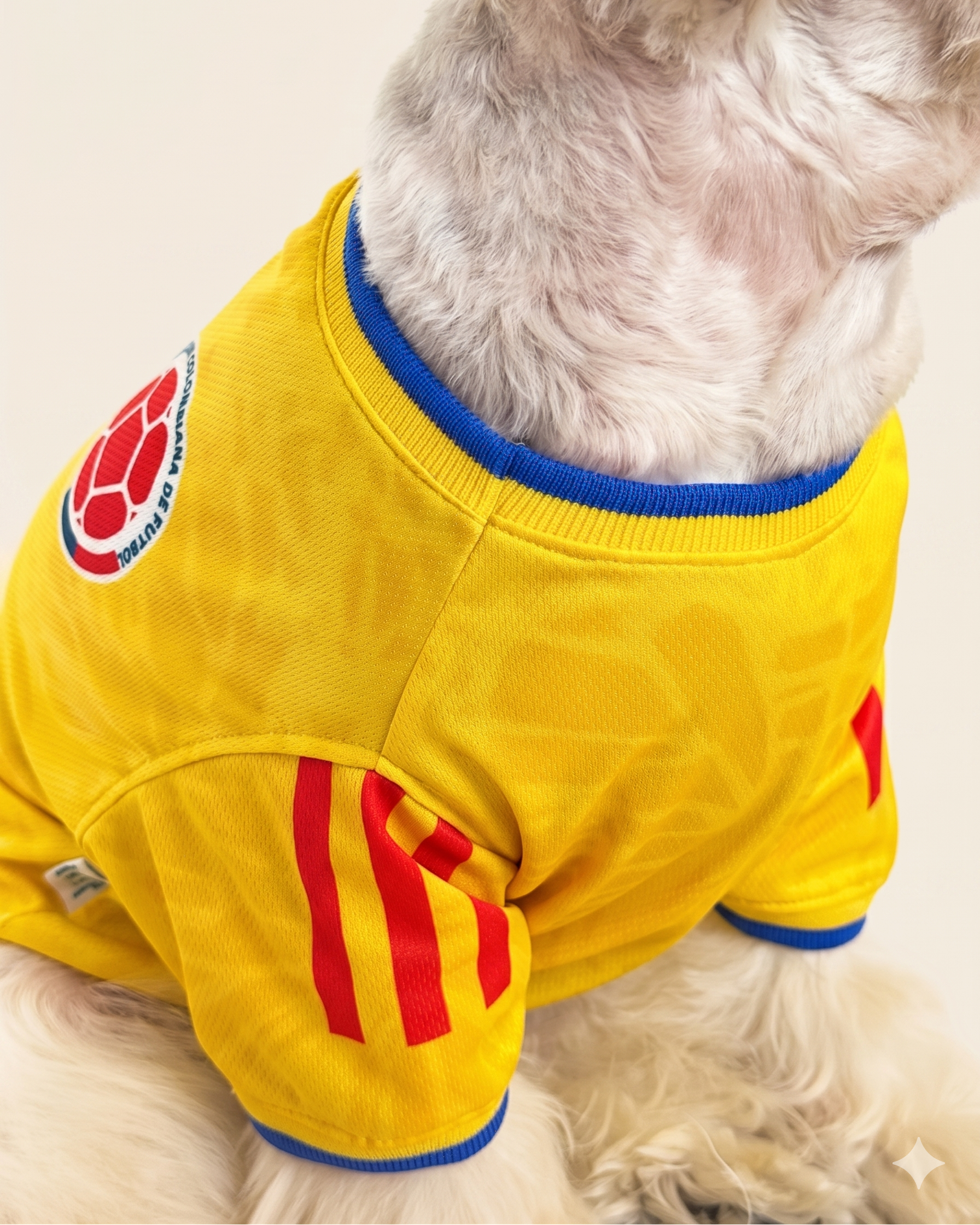 Camiseta selección Colombia