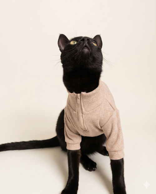 Buzo half zip teddy