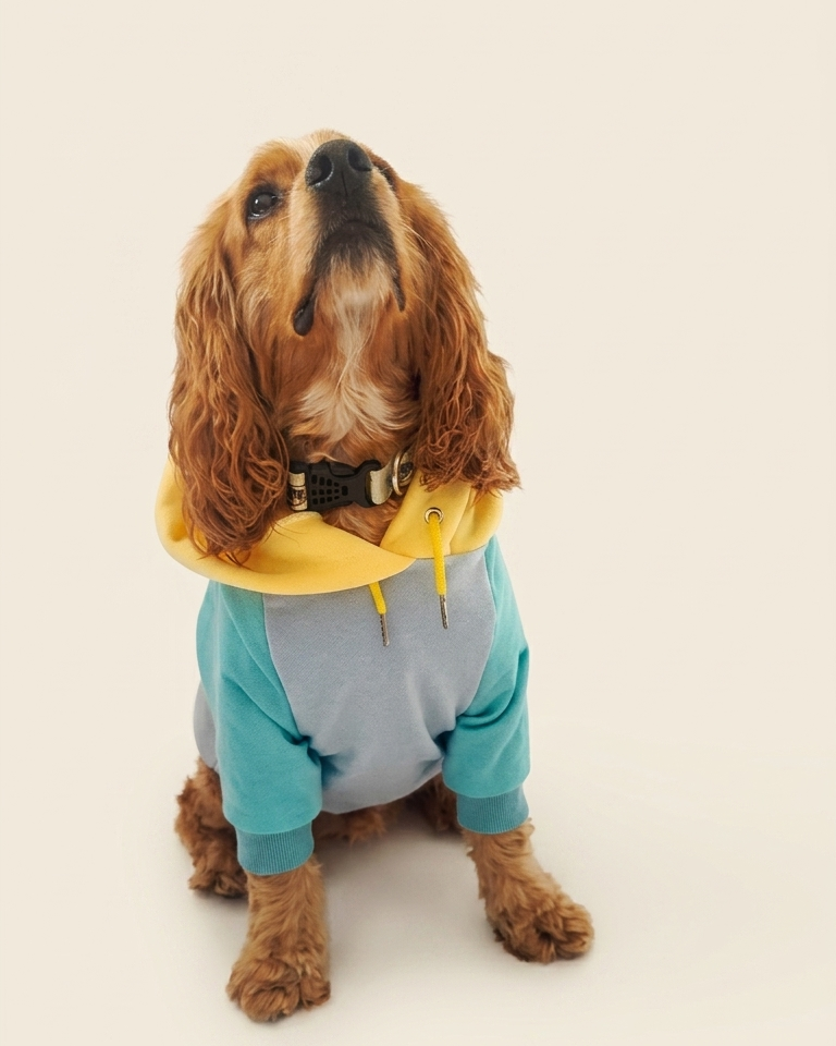 Hoodie PAWNAS
