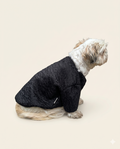 Chaqueta Ébano