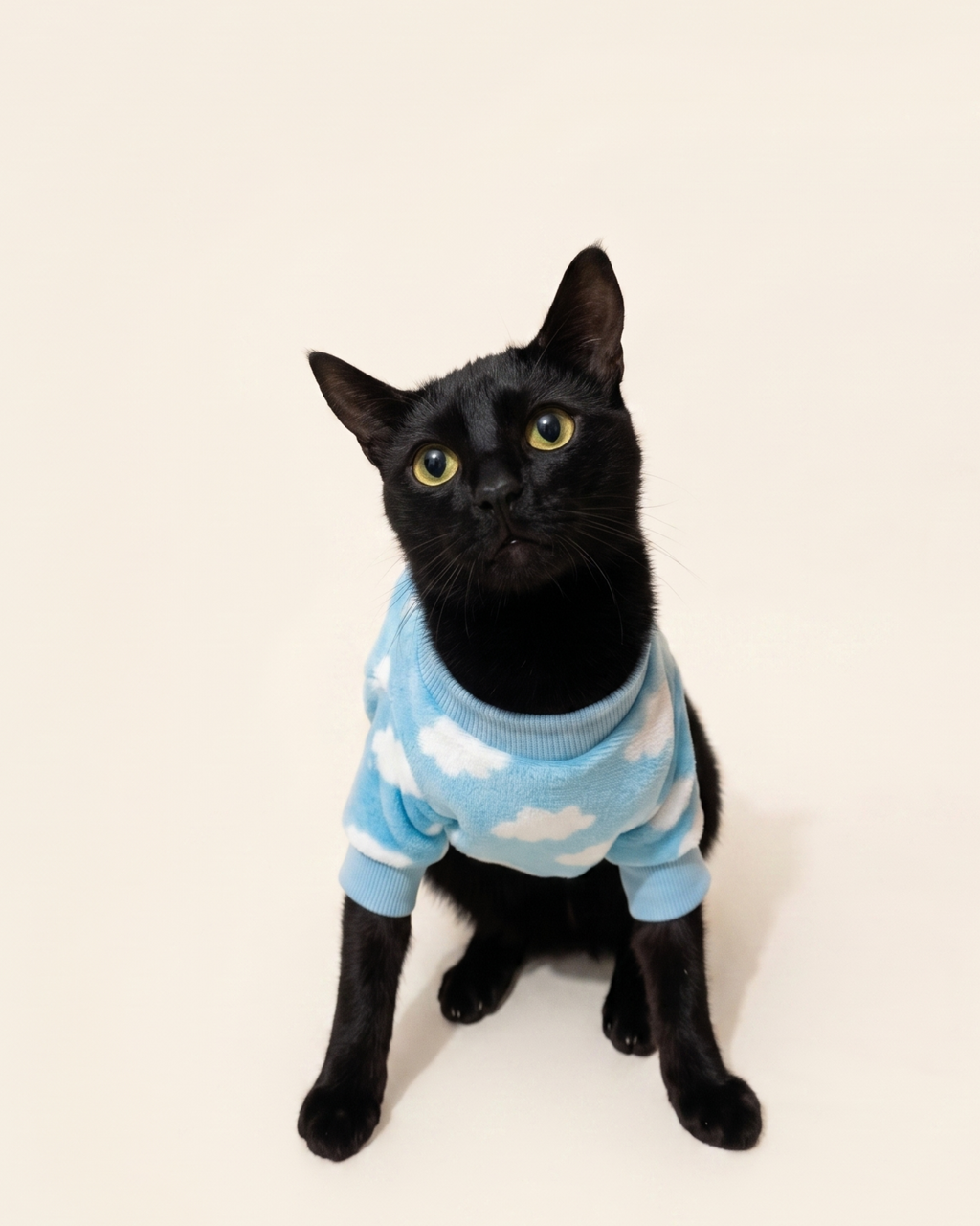 Buzo térmico estampado
