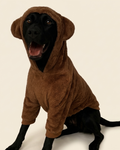 Hoodie Osito