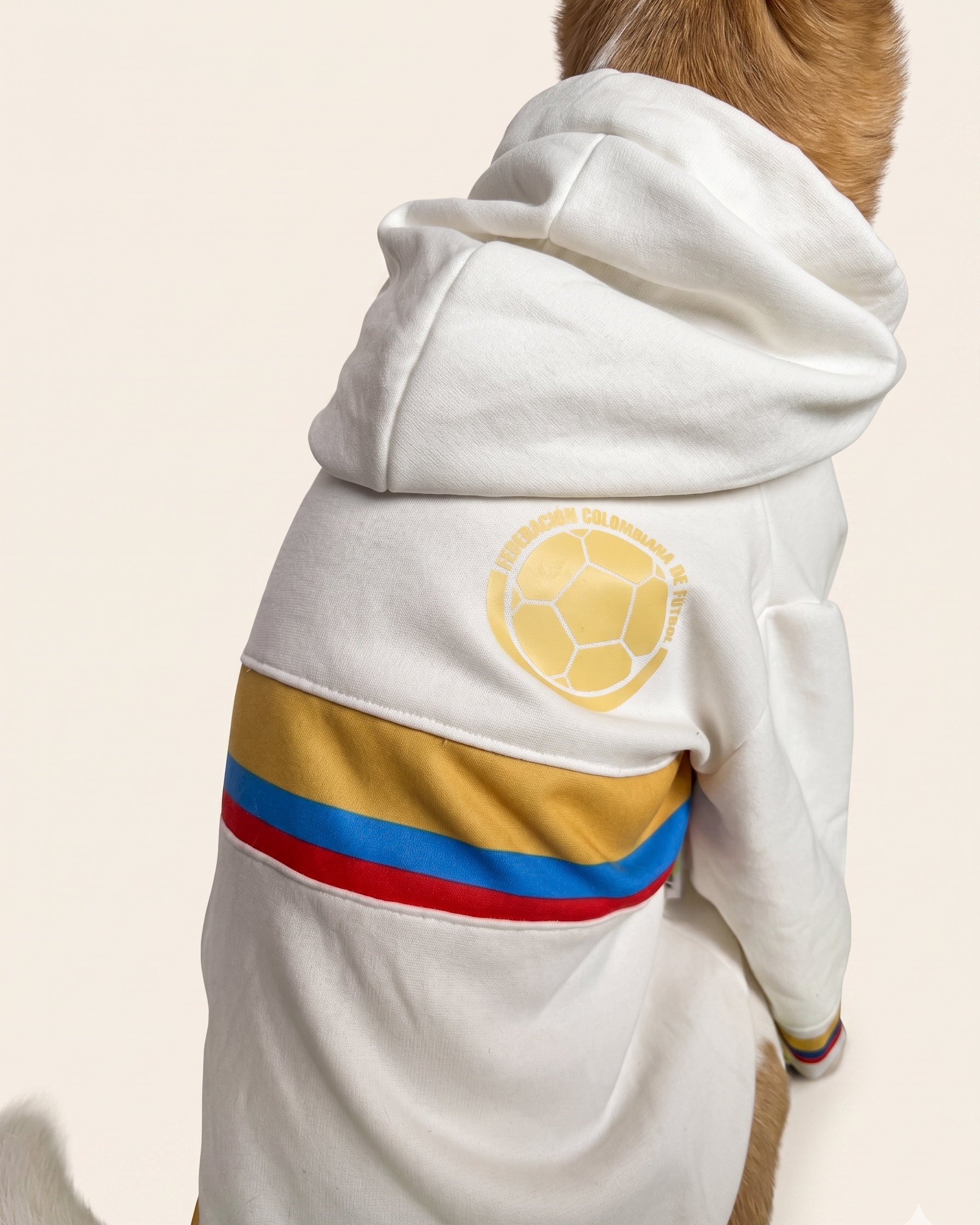 Buzo selección Colombia
