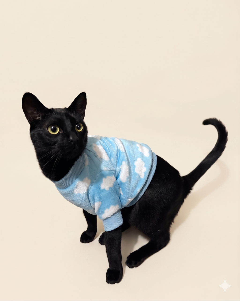 Buzo térmico estampado