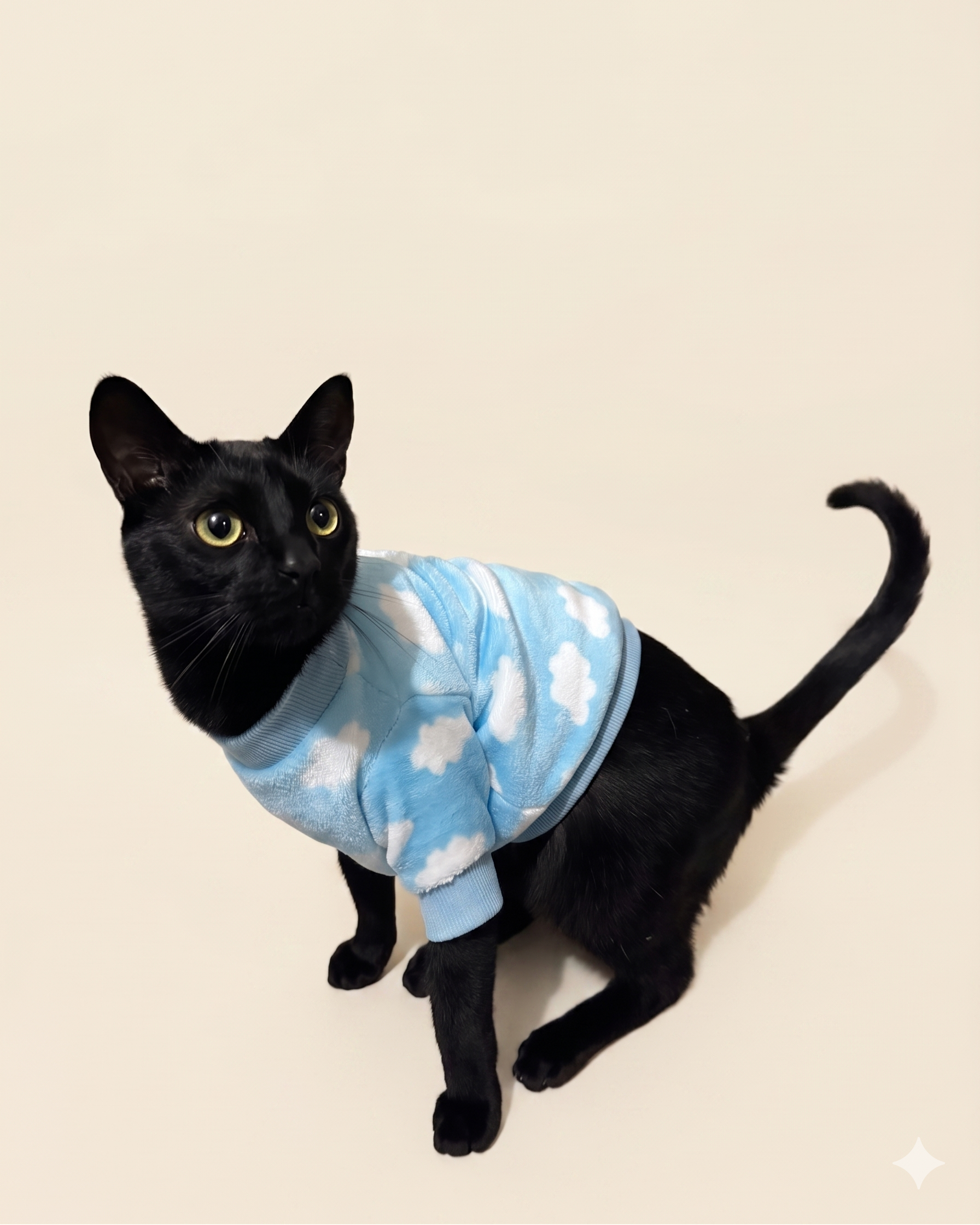 Buzo térmico estampado