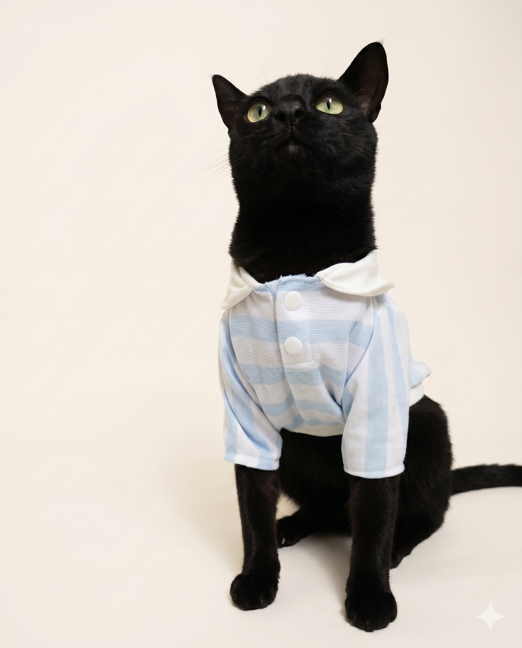 Camisa Moky