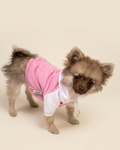 Hoodie PAWNAS