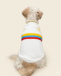 Camiseta Selección Centenario