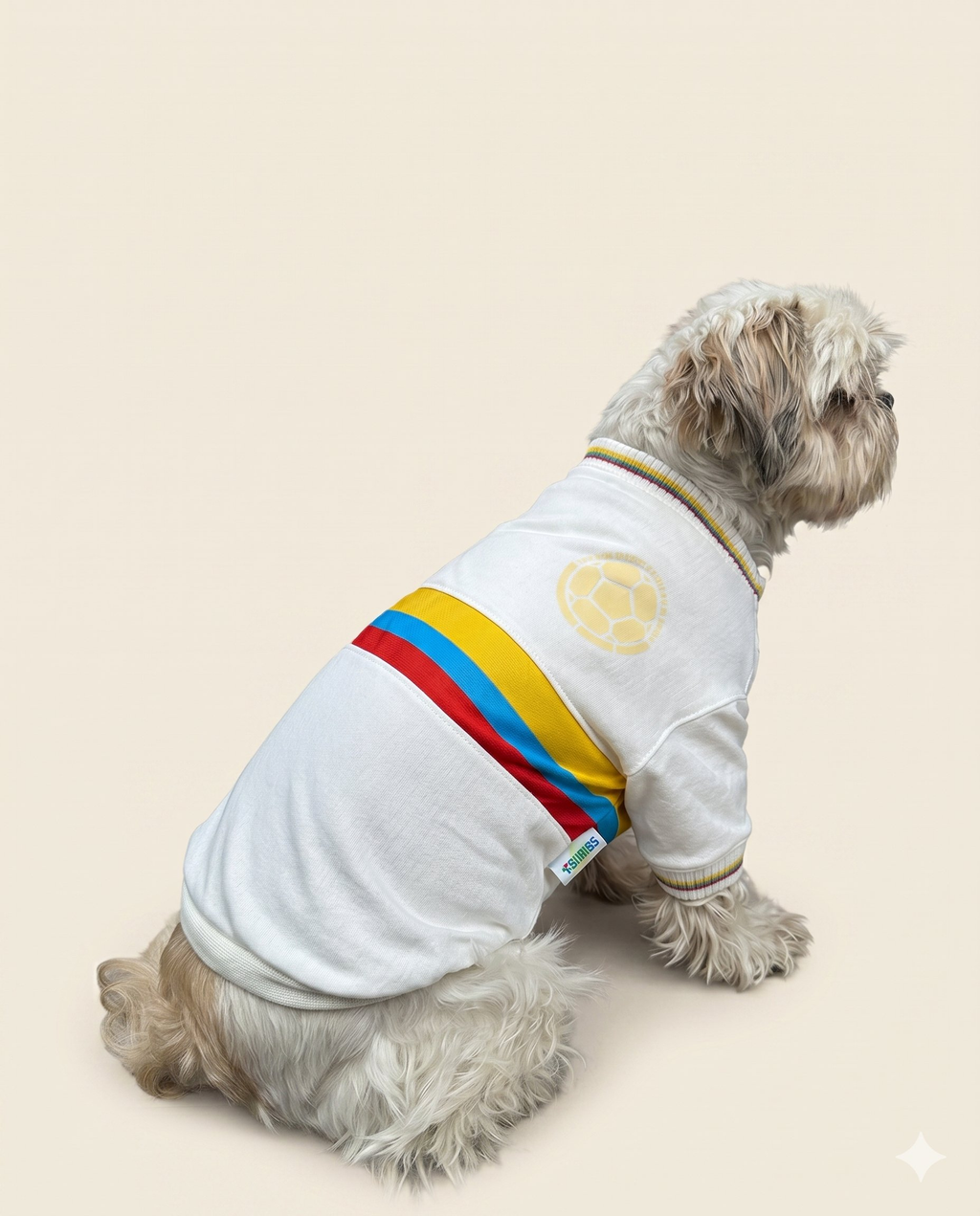 Camiseta Selección Centenario